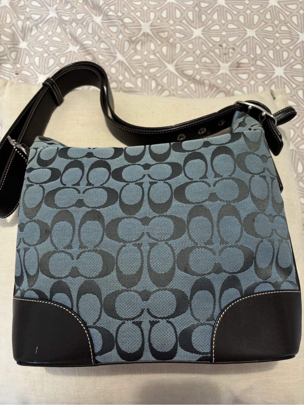Coach Y2k Shoulder/crossbody Blue & dark brown